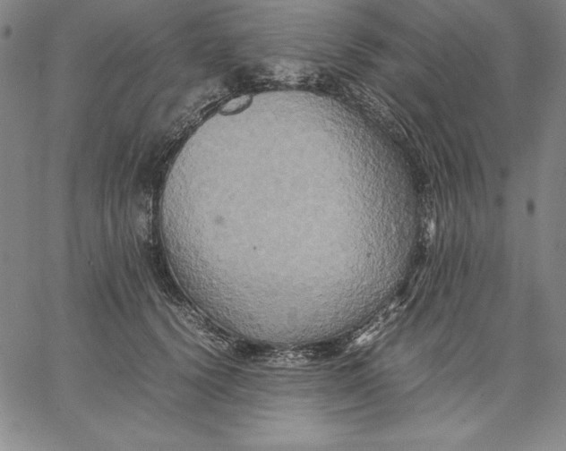 X0000066520656200604071553