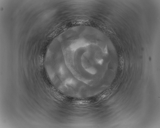 X0000066520657200604071553