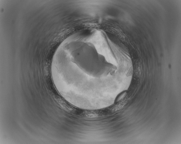 X0000066520658200604071553