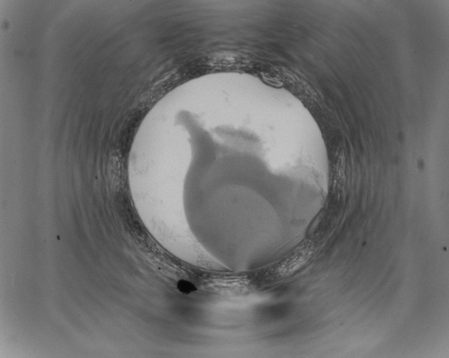 X0000066520659200604071553