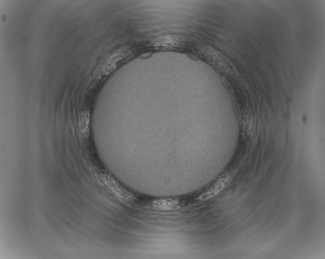 X0000066520660200604071553