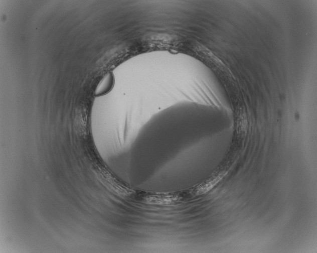 X0000066520661200604071553