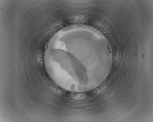 X0000066520663200604071553