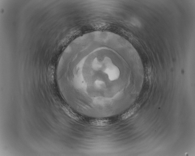 X0000066520664200604071553