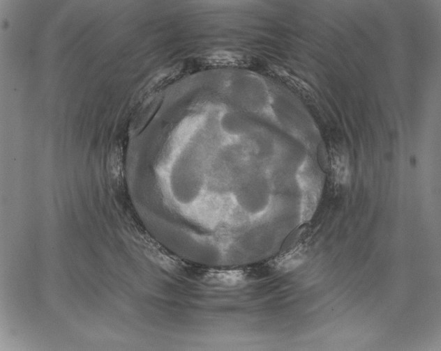 X0000066520665200604071553