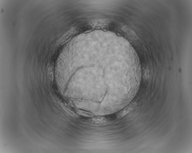 X0000066520666200604071553