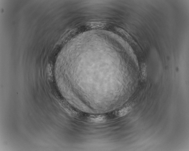 X0000066520667200604071553