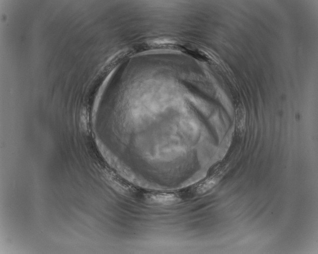 X0000066520669200604071553