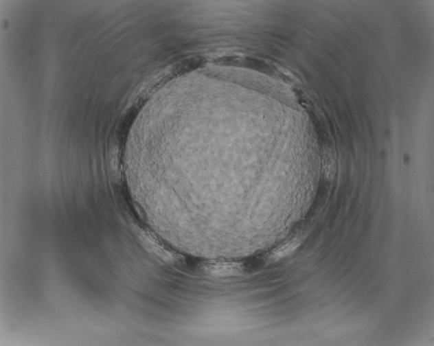 X0000066520670200604071553