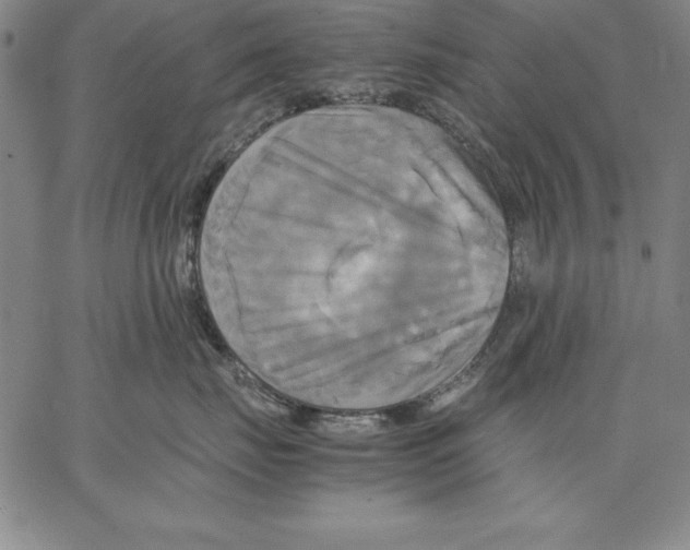 X0000066520671200604071553