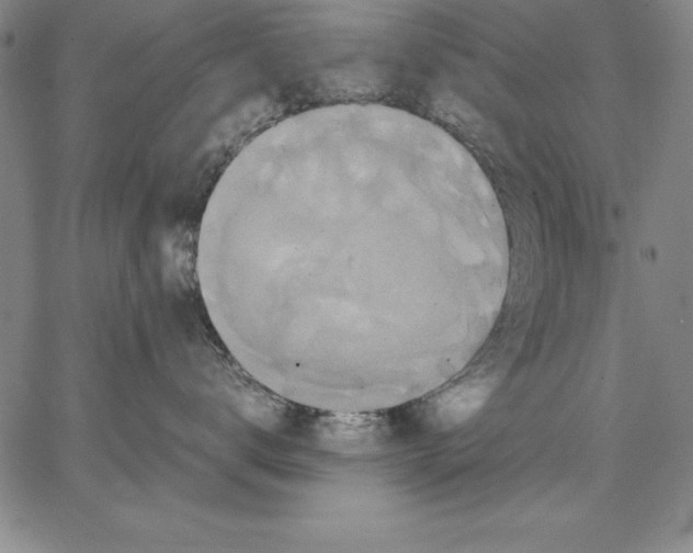 X0000066520672200604071553