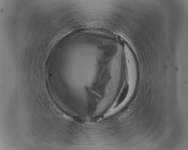 X0000066520673200604071552