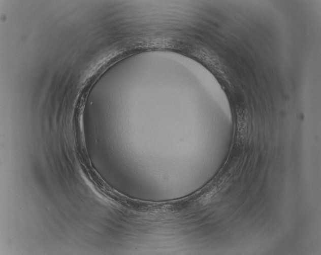 X0000066520674200604071552