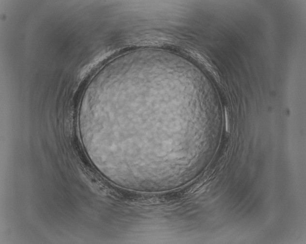 X0000066520675200604071552