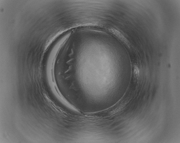 X0000066520676200604071552