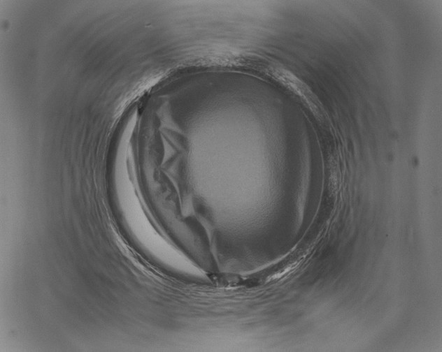 X0000066520677200604071552