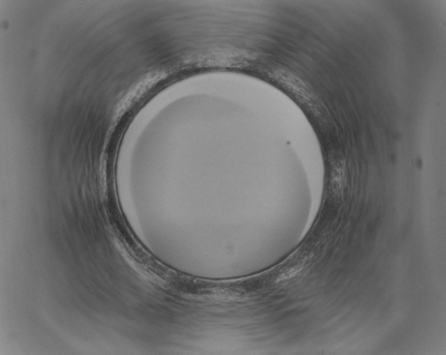 X0000066520678200604071552