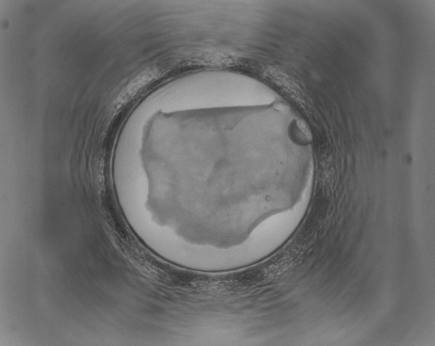 X0000066520679200604071552