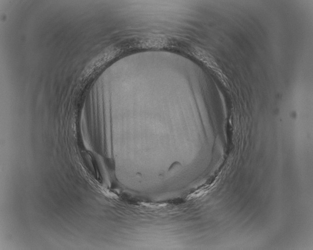 X0000066520681200604071552