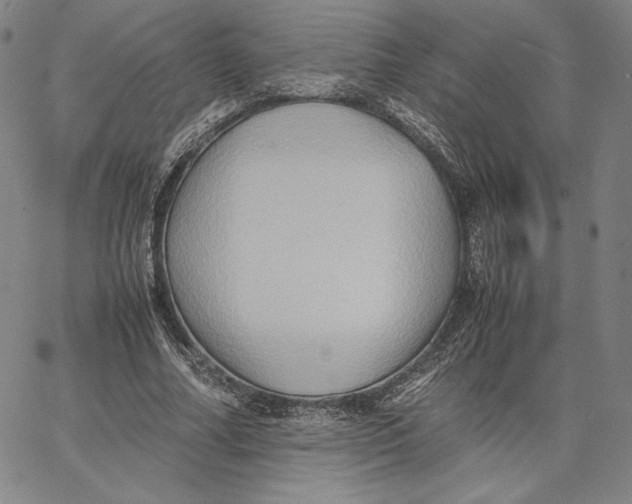 X0000066520682200604071552