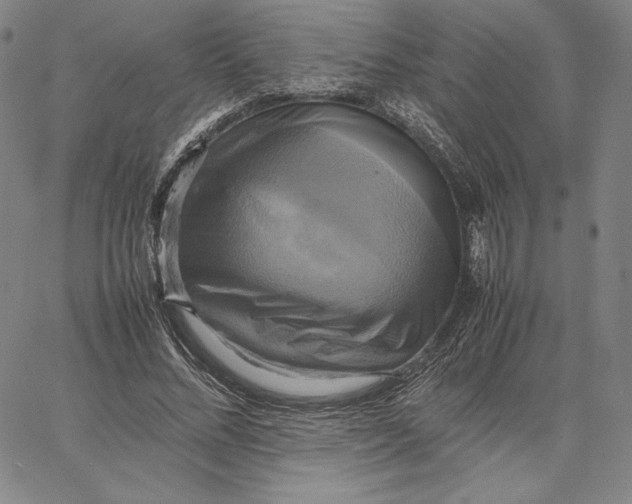 X0000066520684200604071552