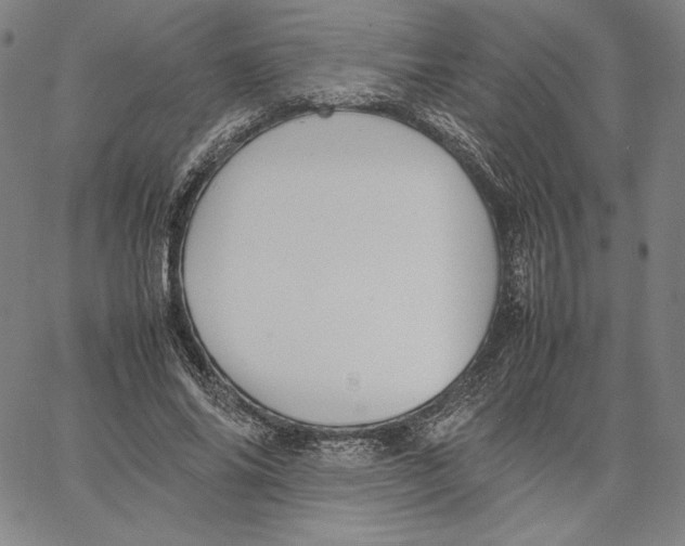 X0000066520686200604071552