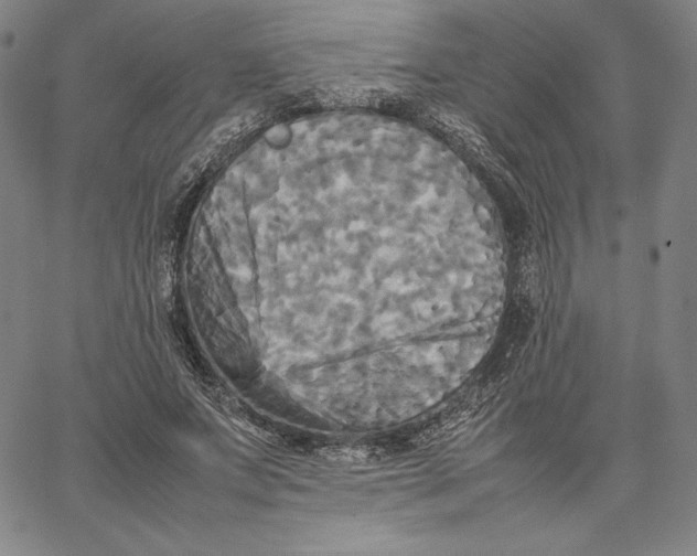 X0000066520687200604071552