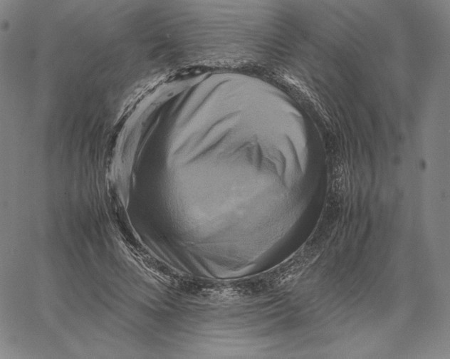 X0000066520688200604071552