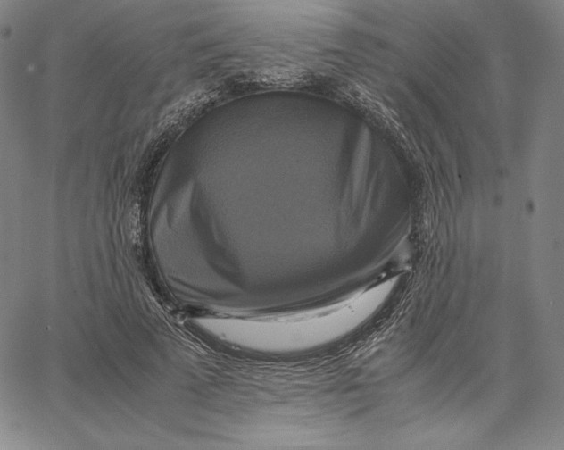 X0000066520689200604071552