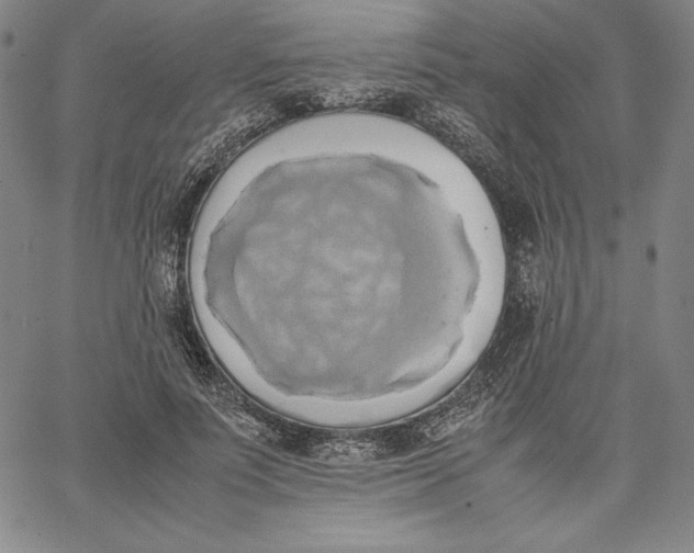 X0000066520691200604071552