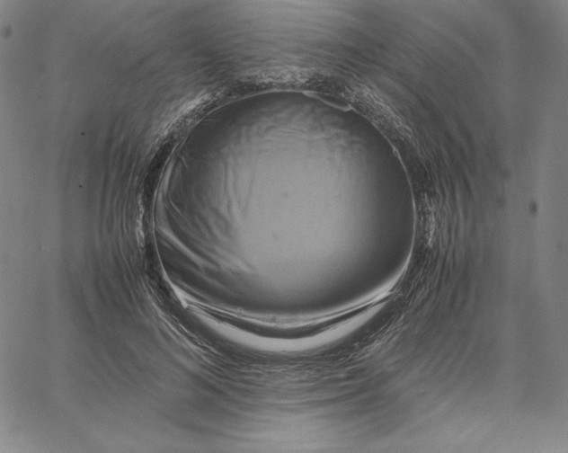 X0000066520692200604071552