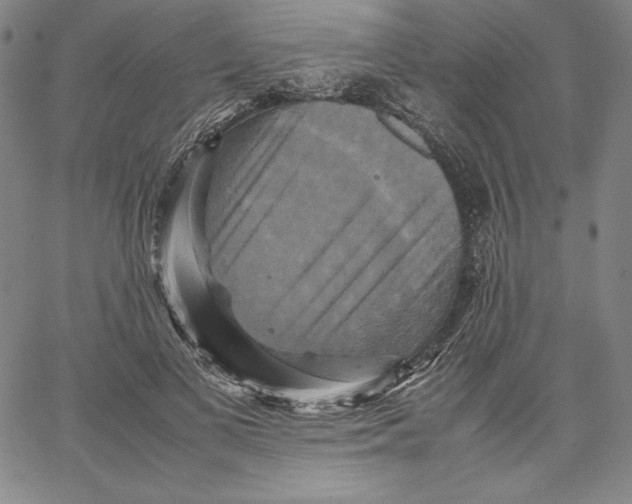 X0000066520693200604071552