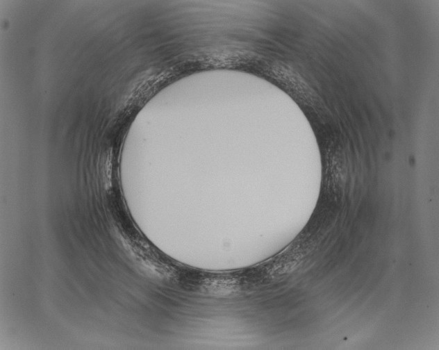 X0000066520694200604071552