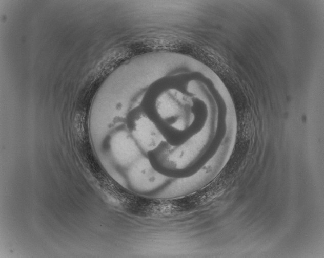 X0000066520695200604071552