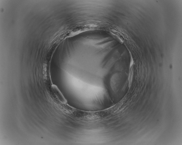 X0000066520696200604071552