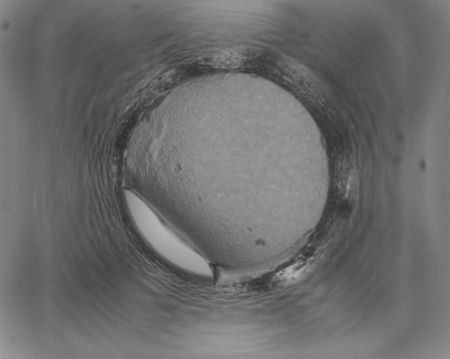 X0000066520697200604071552