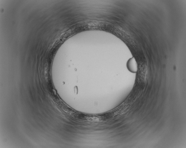 X0000066520698200604071552