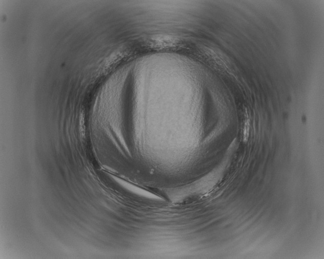 X0000066520700200604071552