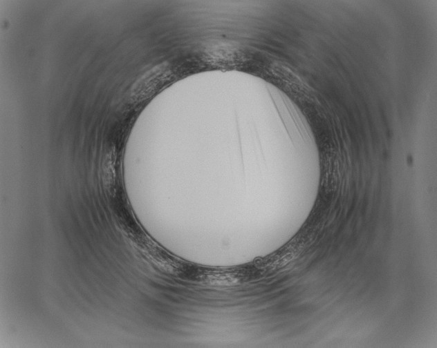 X0000066520702200604071552