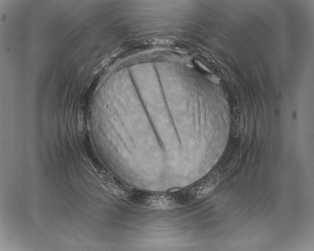 X0000066520704200604071552