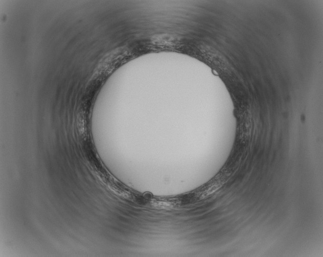 X0000066520706200604071552