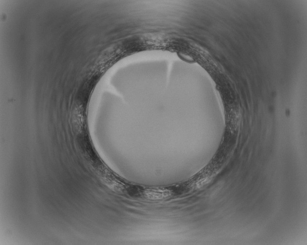 X0000066520707200604071552