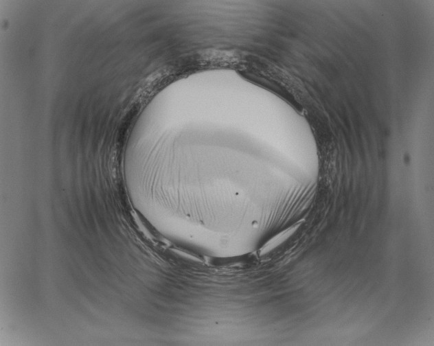 X0000066520708200604071552