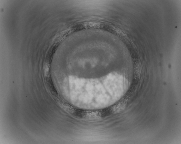 X0000066520709200604071552