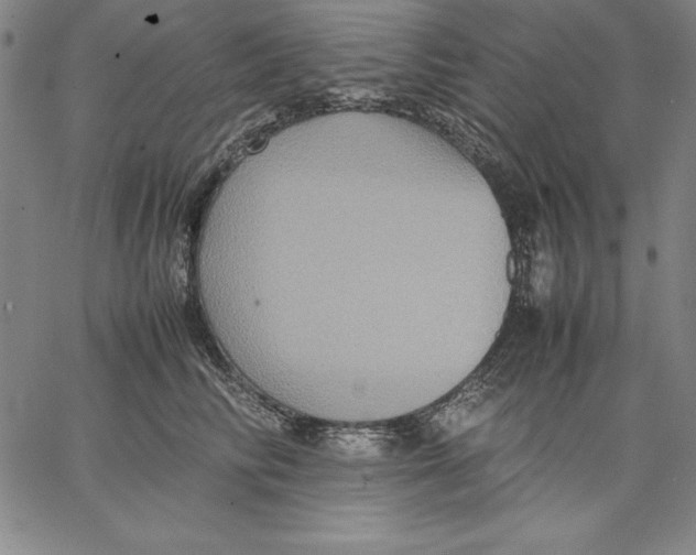 X0000066520710200604071552