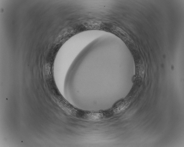 X0000066520711200604071552