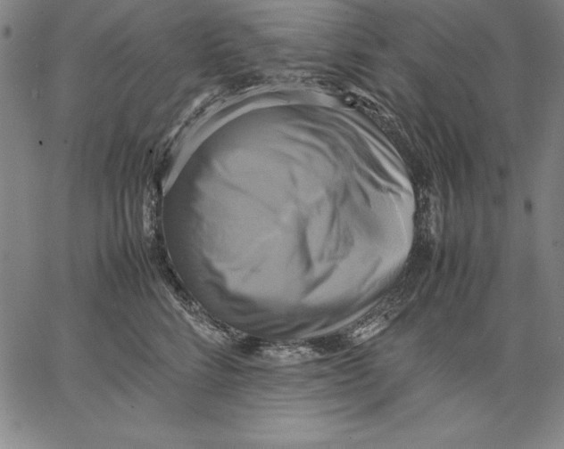 X0000066520712200604071552