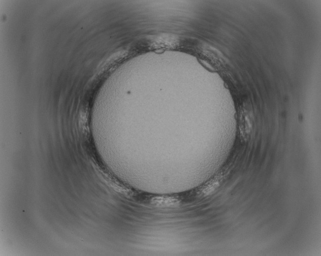 X0000066520714200604071552