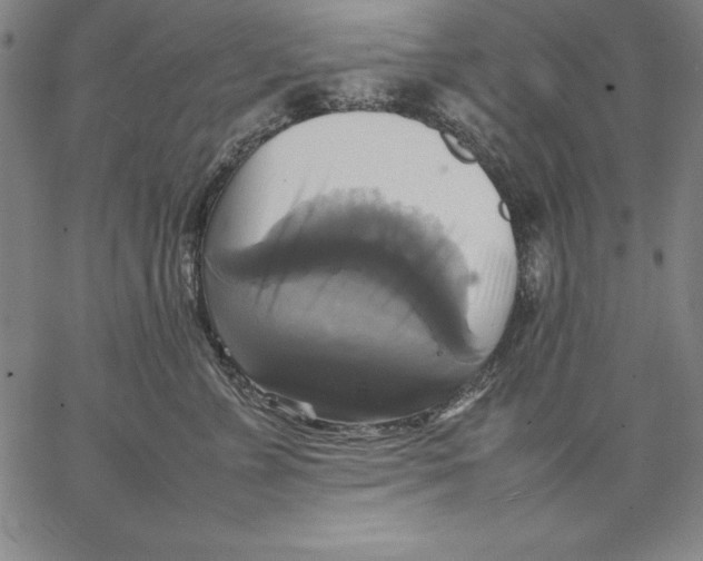 X0000066520715200604071552