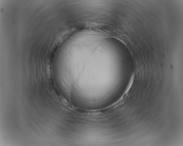 X0000066520716200604071552